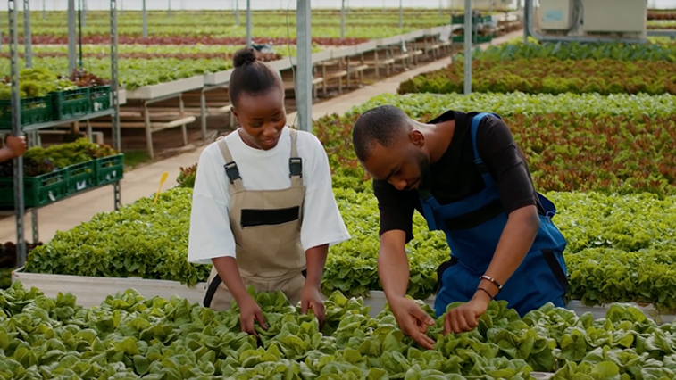Rwanda Green Fund - Imagine...